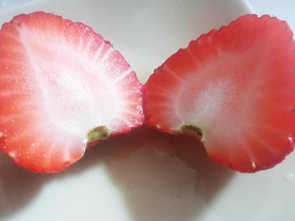 イチゴの写真